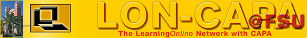 The Learning Online Network with CAPA